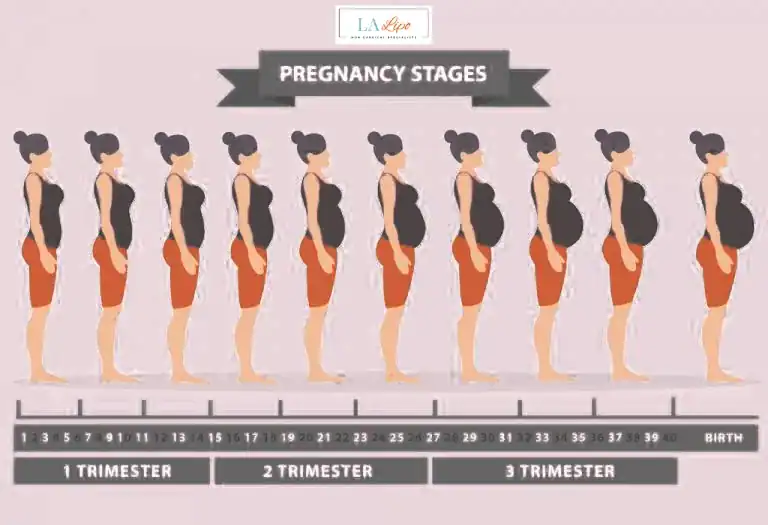 First Trimester (Weeks 1–12): Early Changes You Might Not Notice Ryton-on-Dunsmore